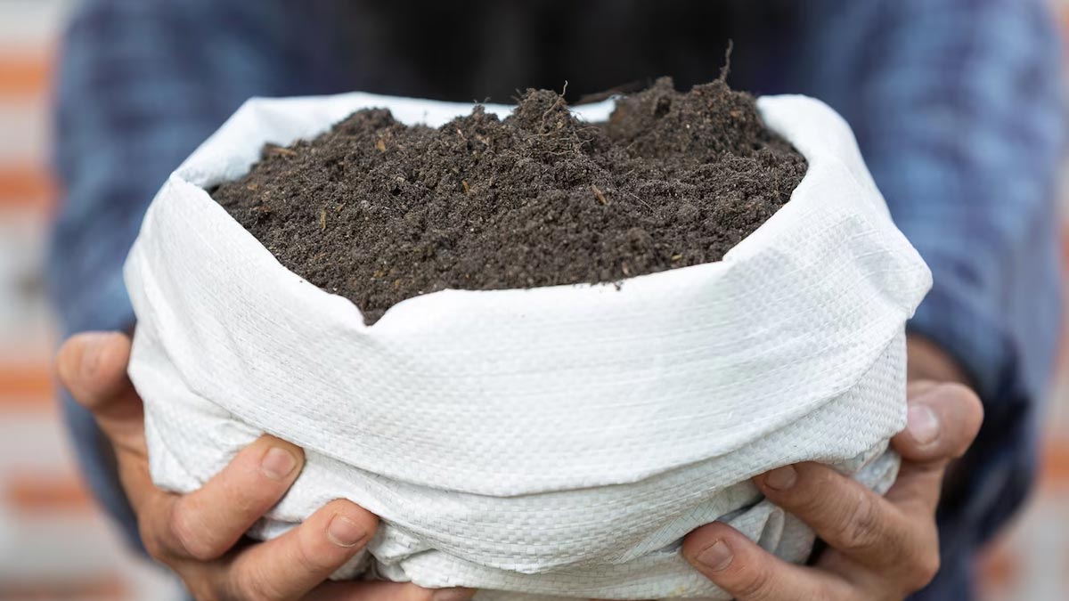 Add this desi special