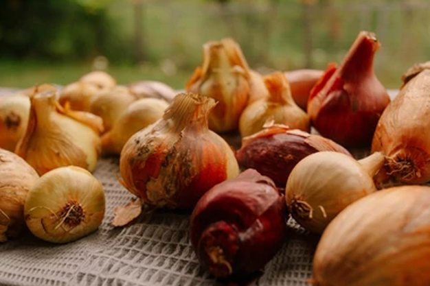 How to make dry onion flakes at home