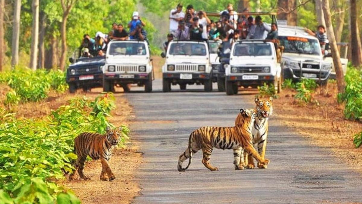 Kanha National Park