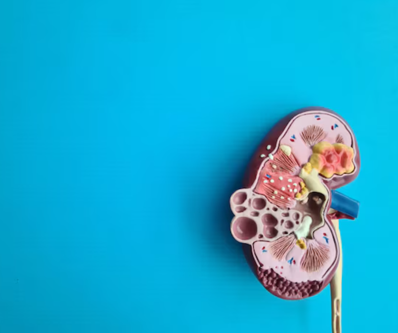 KIDNEY DISEASE IN CHILD