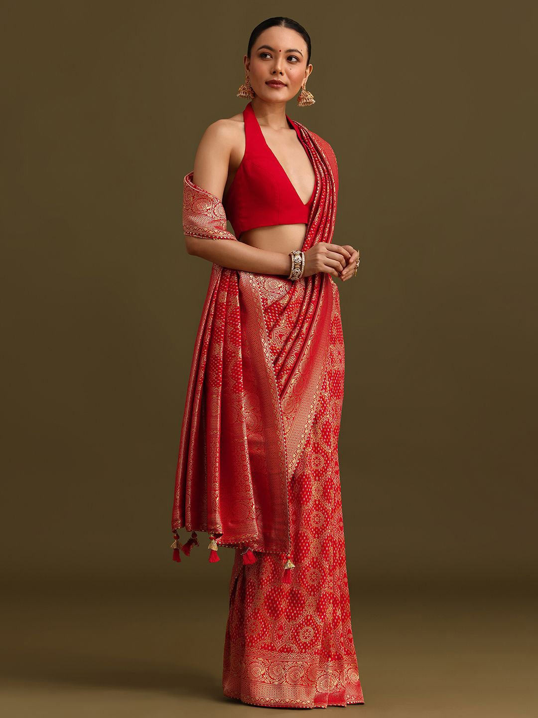 Saree look (7)