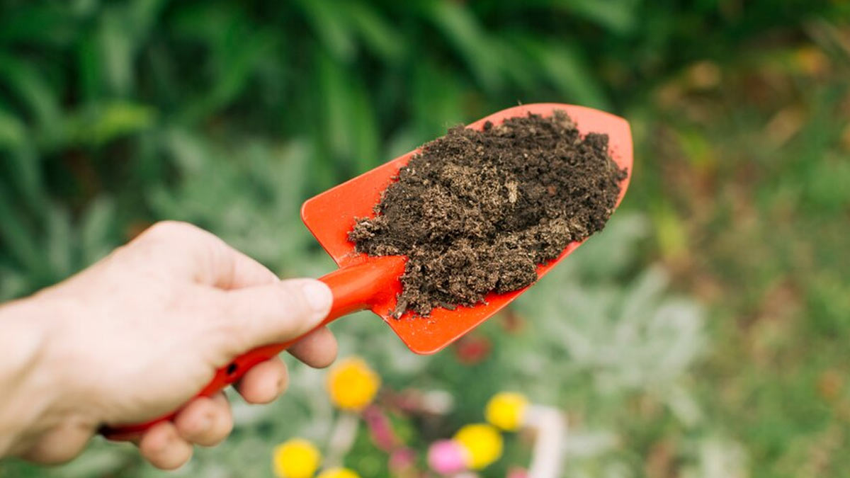 add organic fertilizer