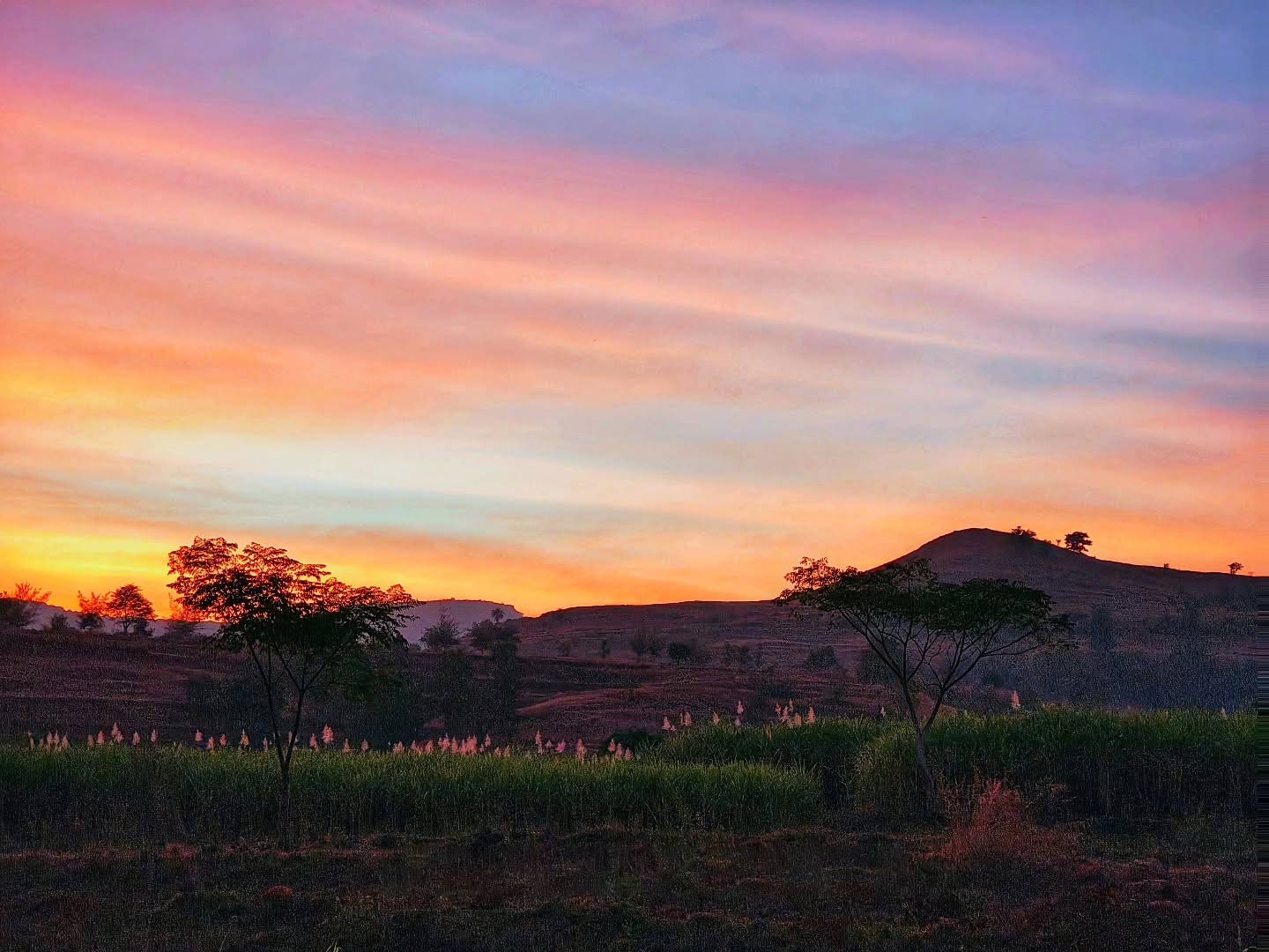 About Koynanagar In Hindi