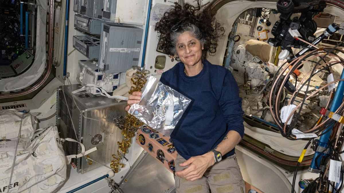 astronauts brain have major changes when they return to earth