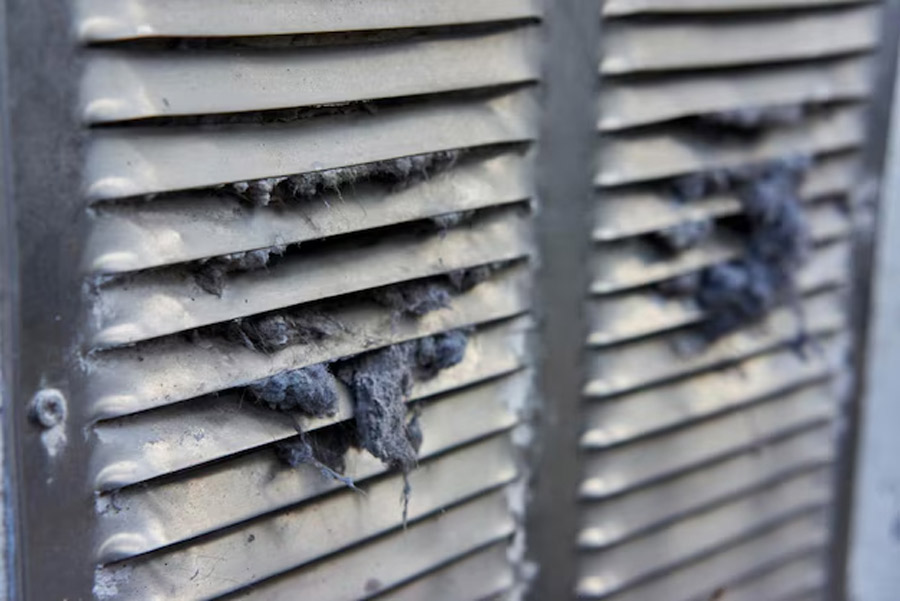 cooler cleaning tricks