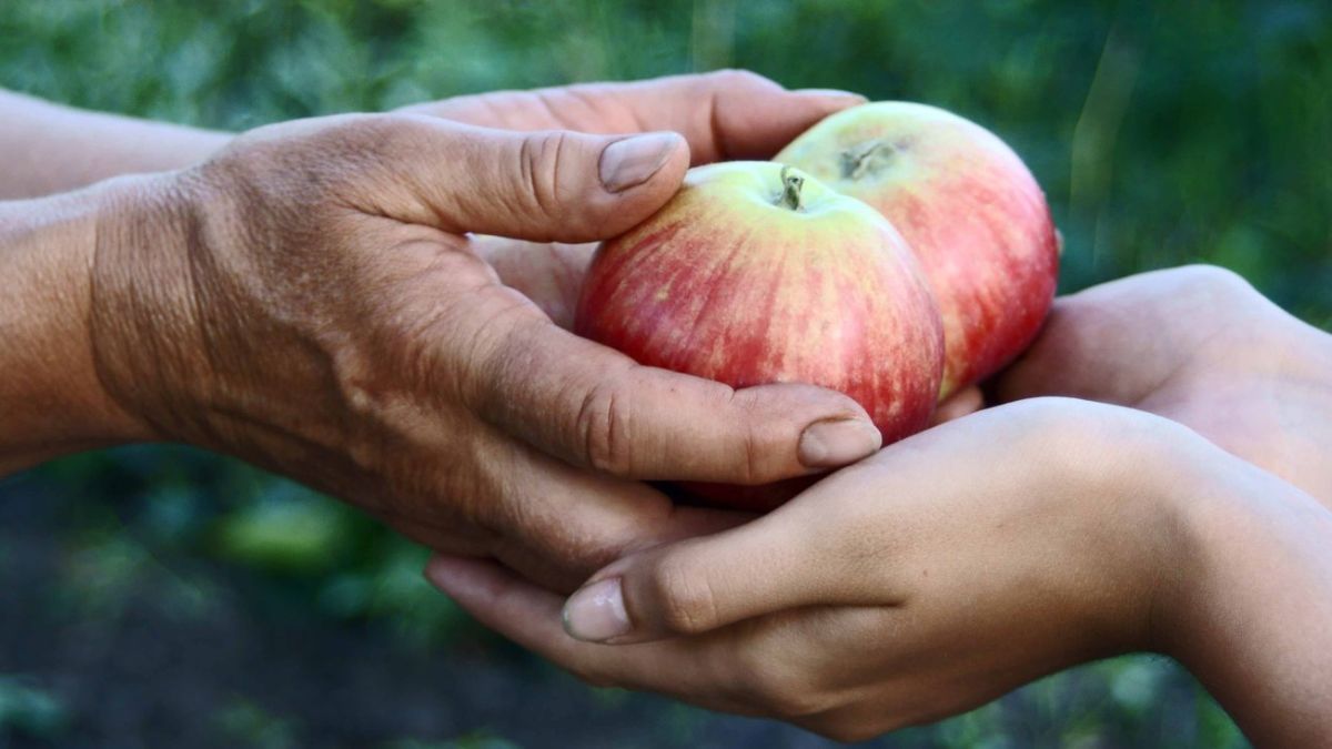 sheetala ashtami 2025 pr kare in cheezo ka daan