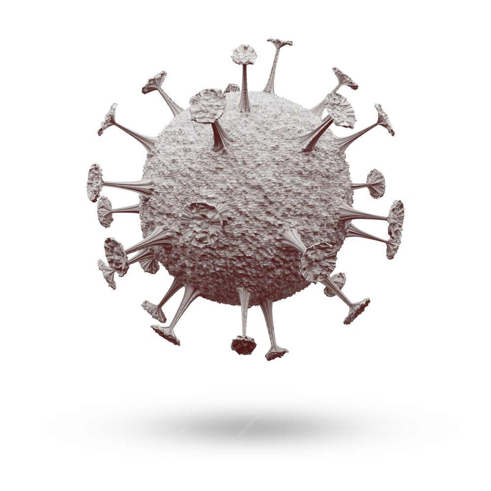 HKU1 coronavirus-