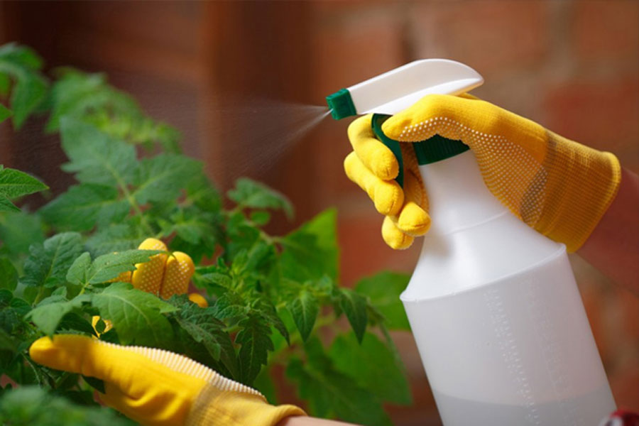 Is baking soda a natural pesticide