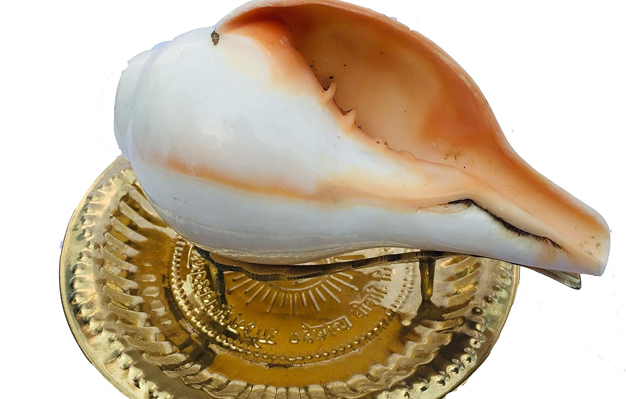 keepingh shankh at home