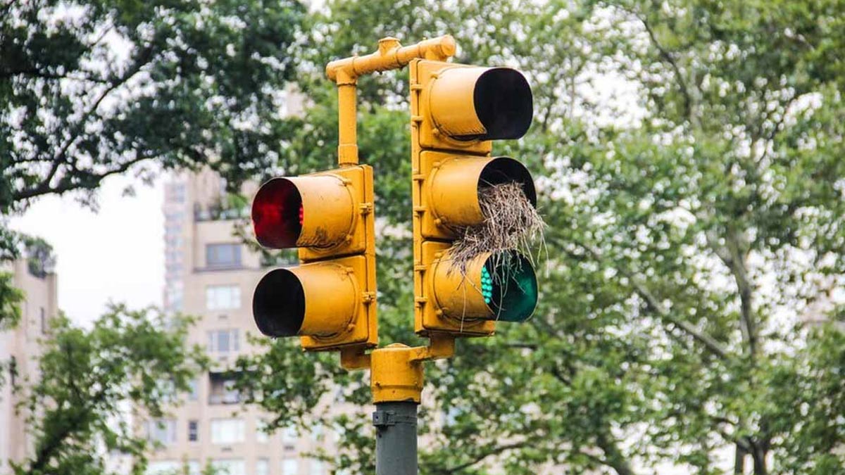 new chalan rules 2025