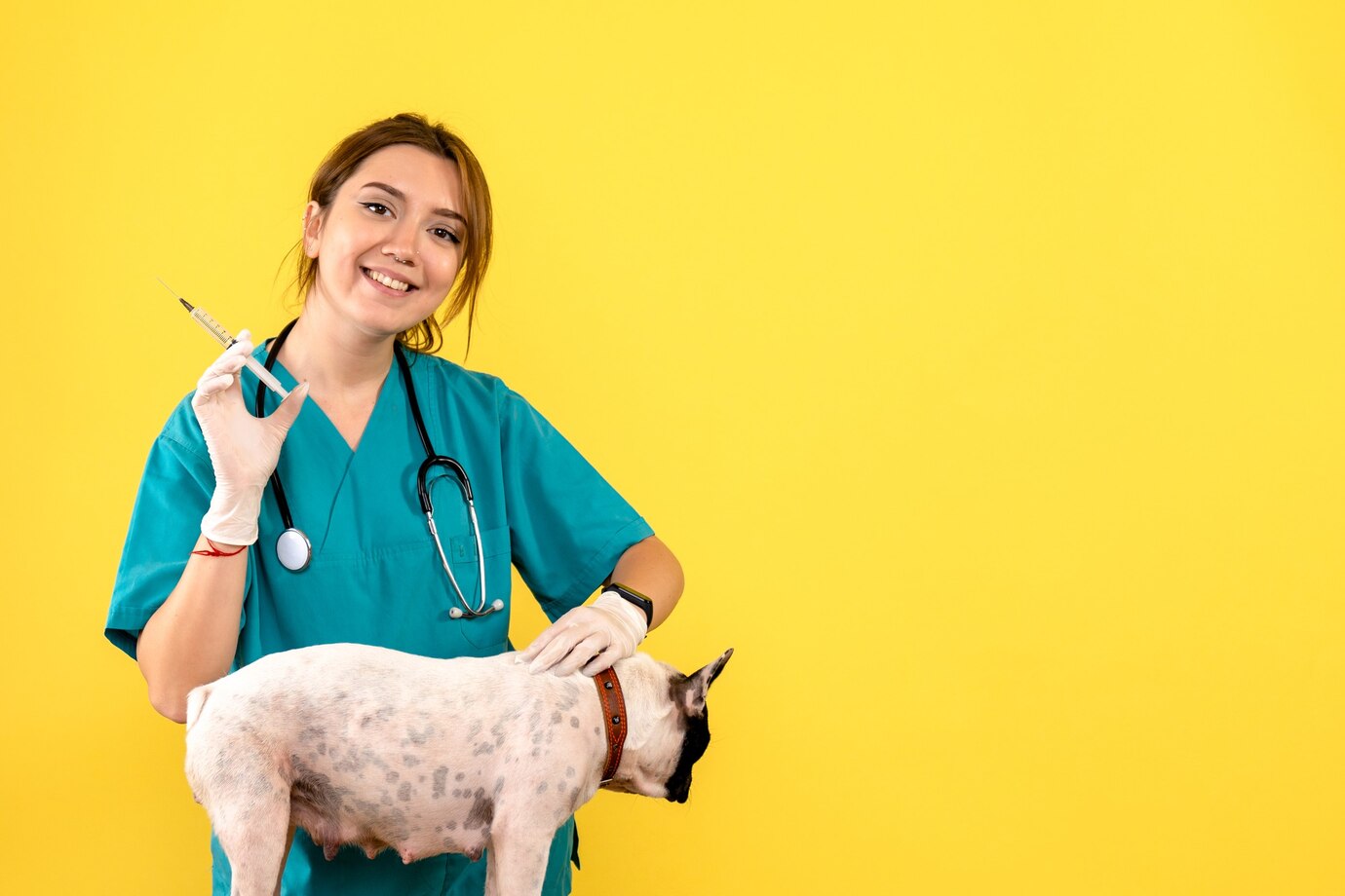 animal lover career options