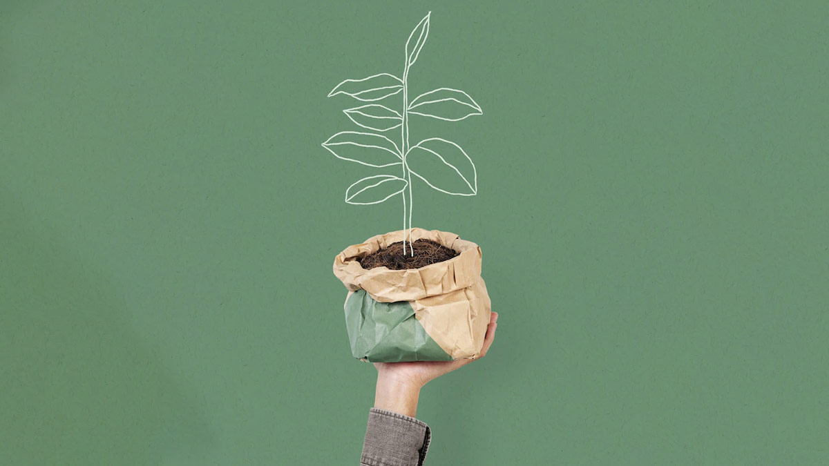 can we carry a plant in metro know rules before traveling11