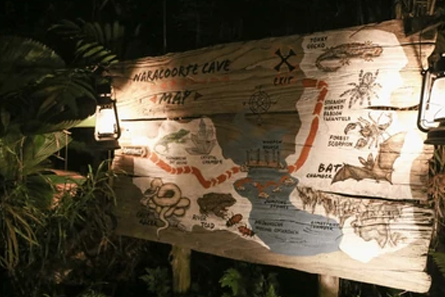 All About Night Tiger Safaris in India