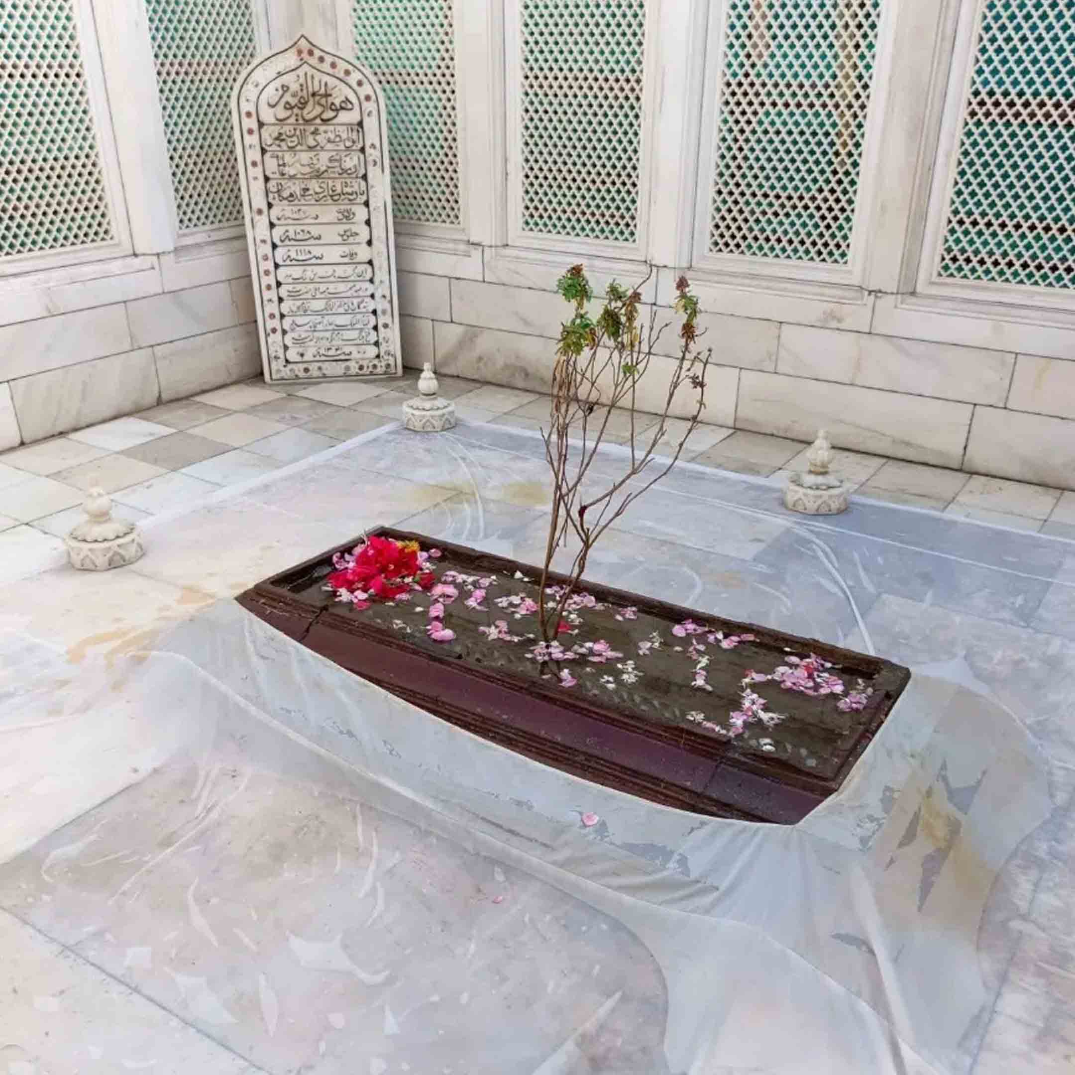 Why is there a Tulsi plant on Aurangzeb's grave
