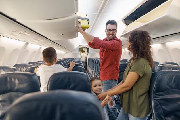 Air Travel rule in hindi