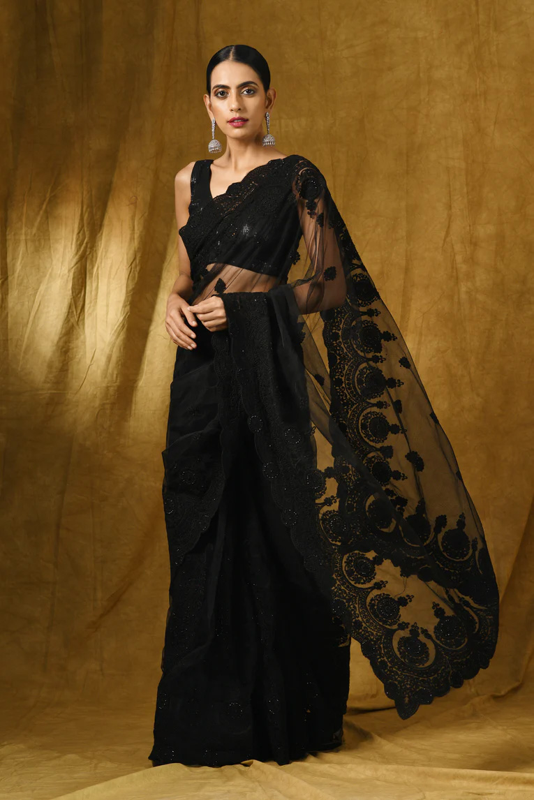 Net saree designs ideas (2)