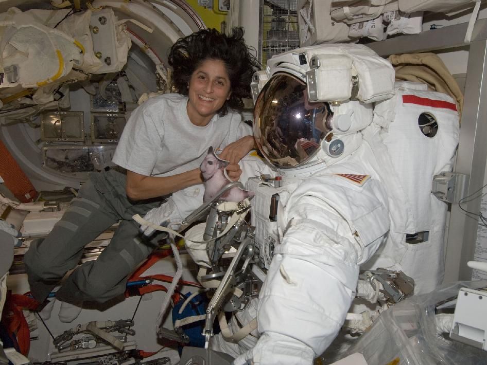 Why sunita williams wear white or orange spacesuits