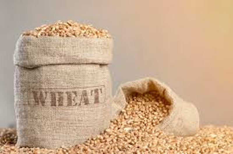 genhu store kese karen