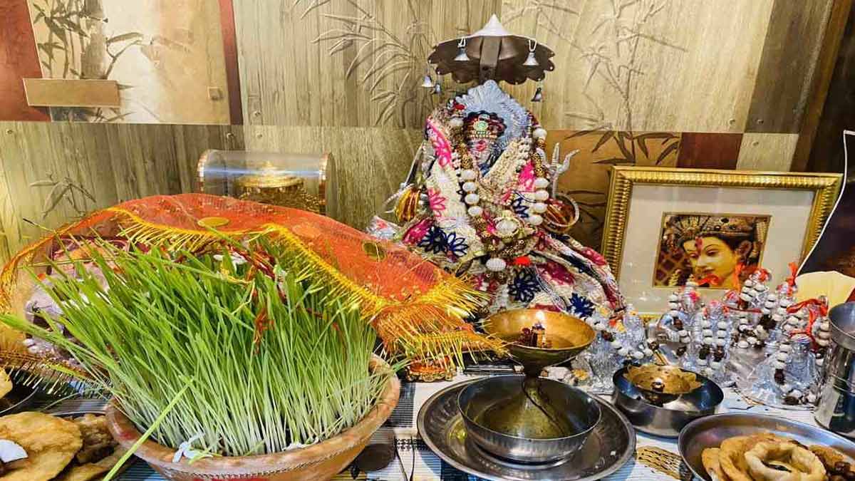 नवरात्रि में जौ न उगे तो क्या होता है? पंडित जी से विस्तार में जानें