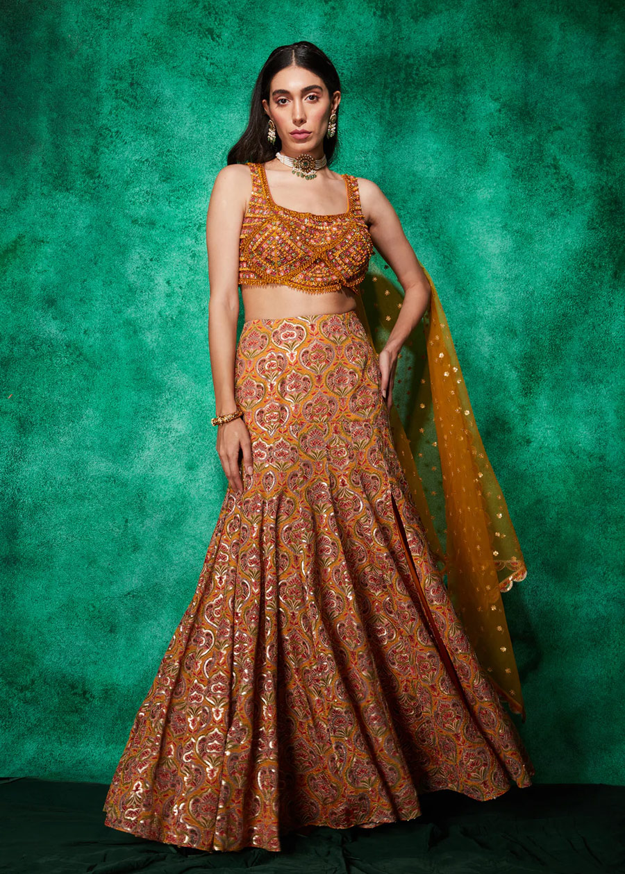 Multi colour lehenga (2)