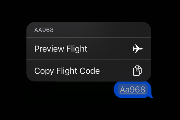 flight code number hacks to find status