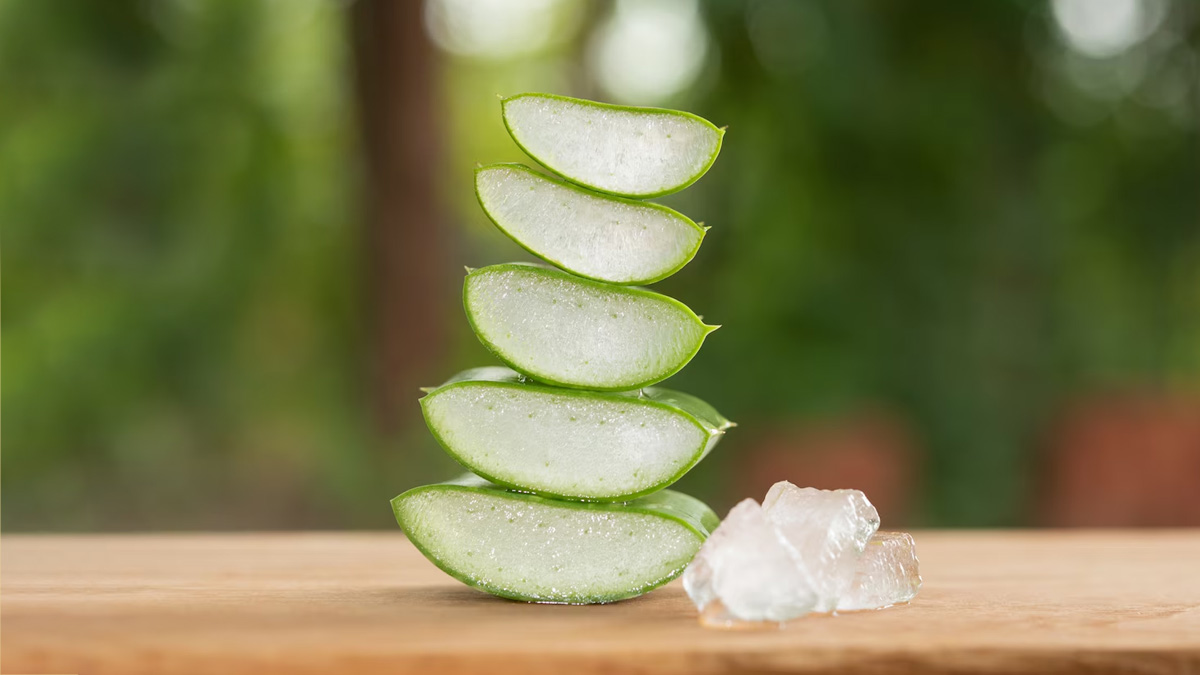aloe vera