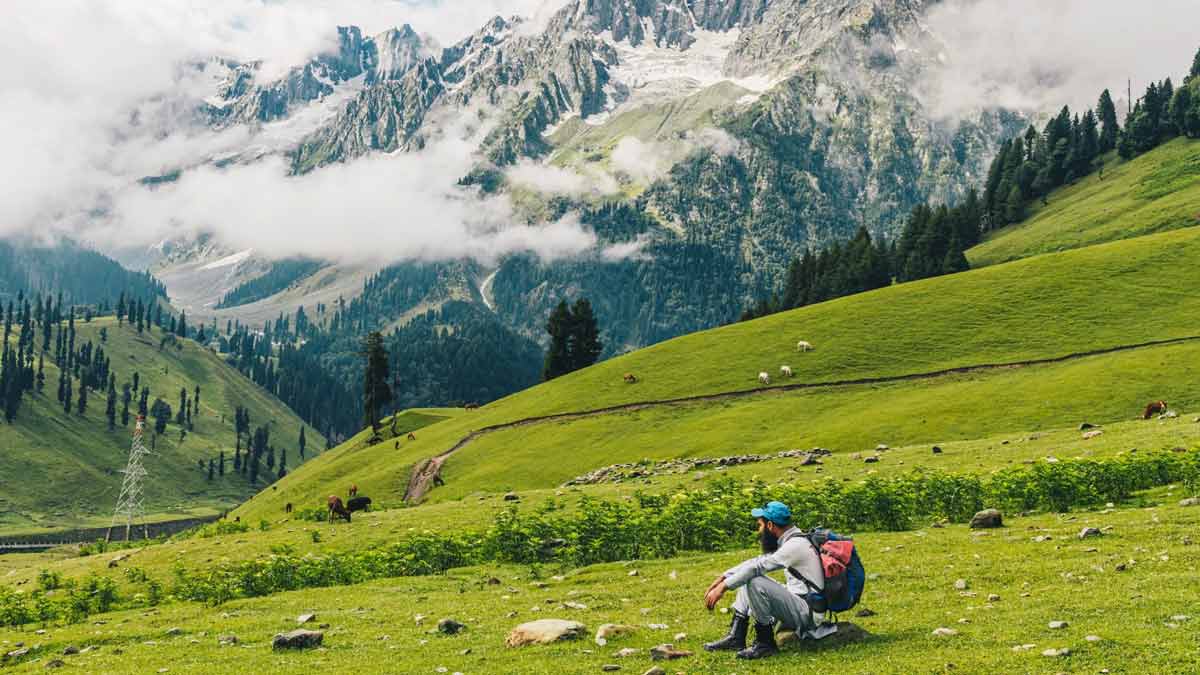 kolkata to kashmir irctc budget tour package planVRSDZX