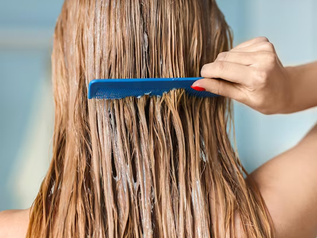 1 - 2025-04-03T145254.784