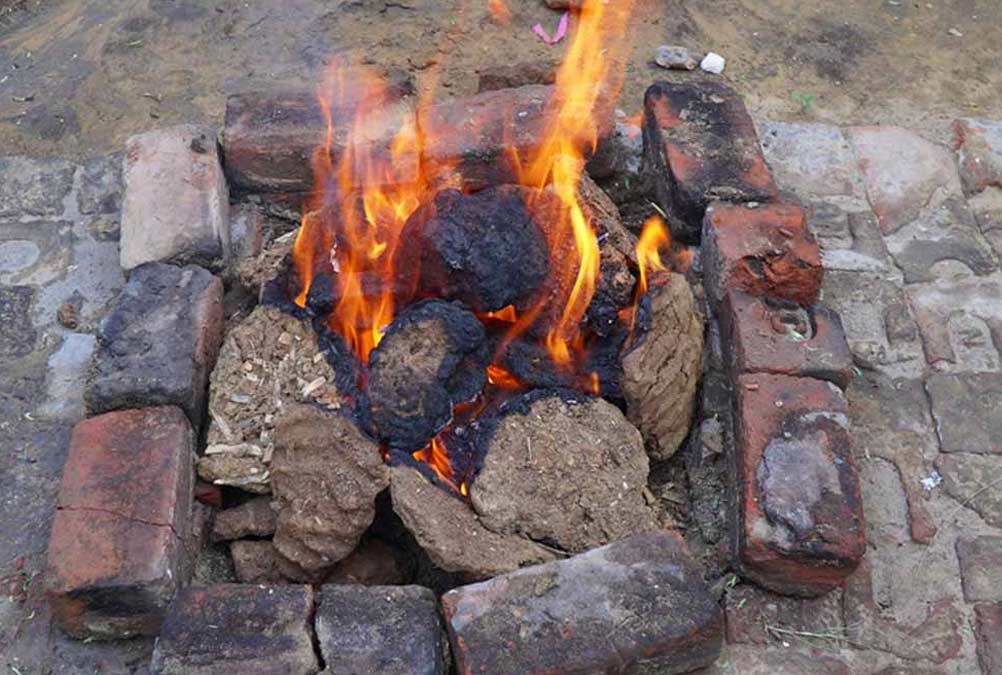 How do I get rid of mosquitoes in my home