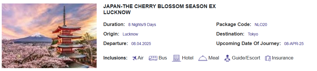 Japan The Cherry Blossom