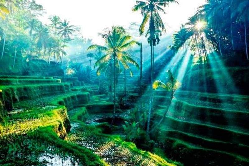 Why Yavatmal Is So Famous