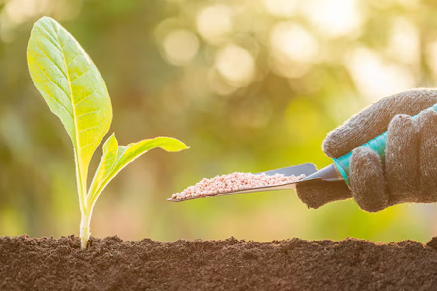 use in another plants