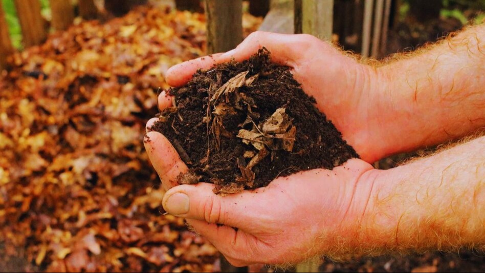 compost from leaves