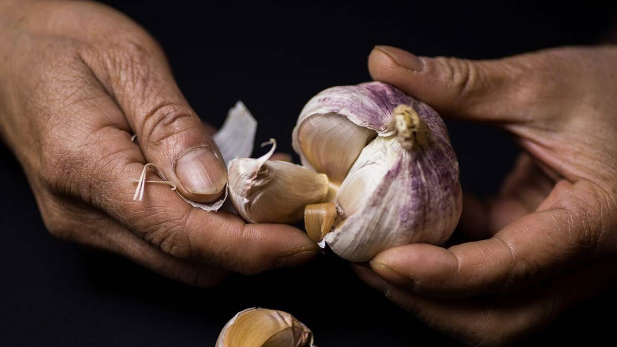 Garlic cleaning tips