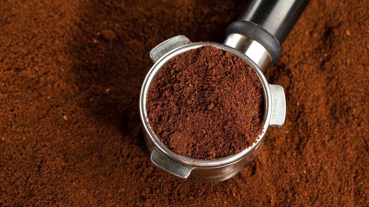 2 - 2025-04-08T180418.480