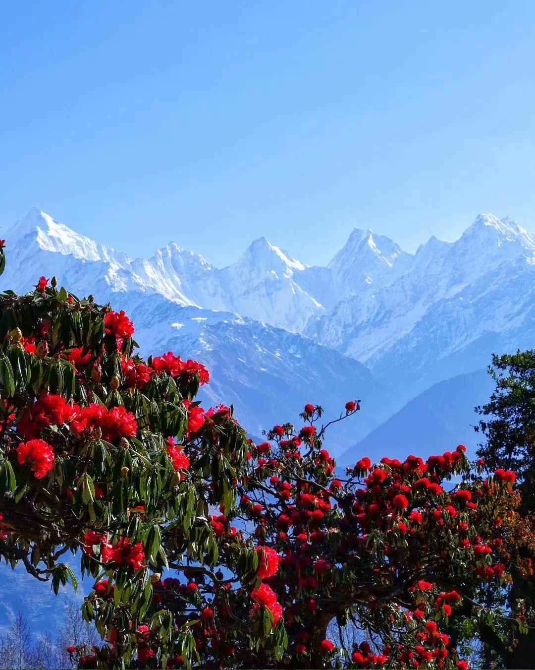 Munsyari hill station