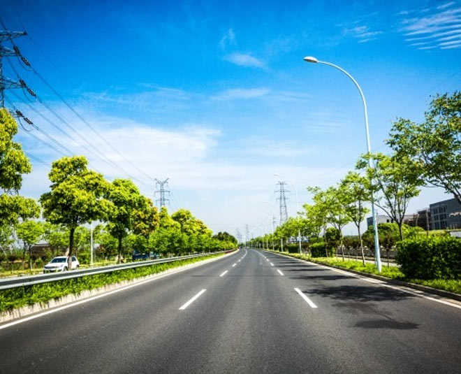 reason behind plants on road divider