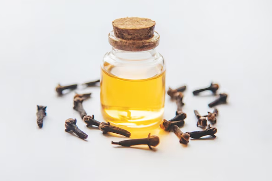 clove oil for ants