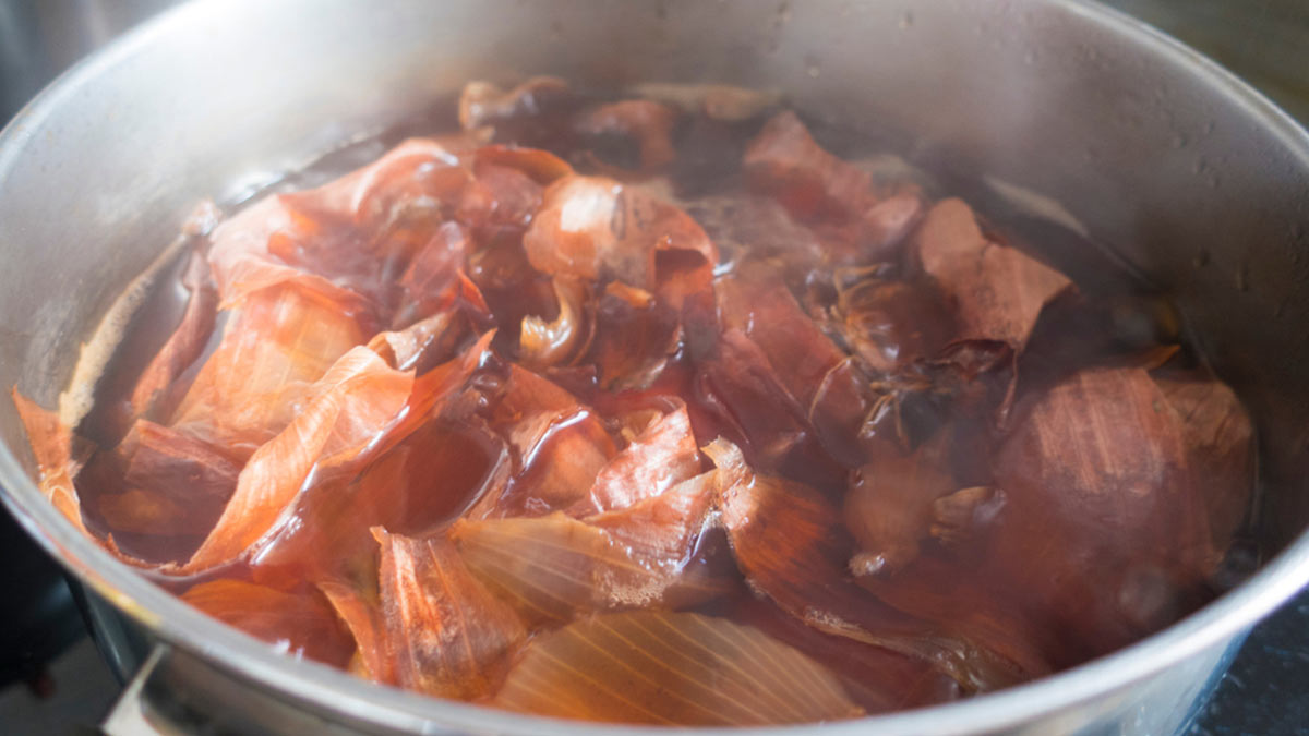 money plant yellow leaves fertilizer