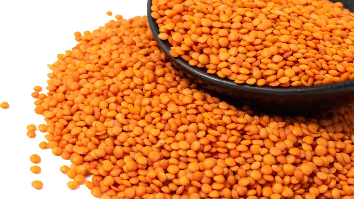 How to protect lentils from insects