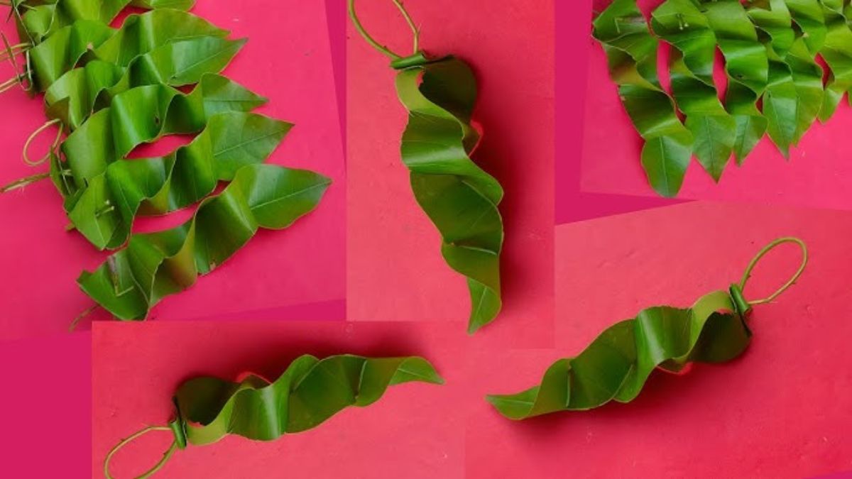 ghar mein ashok ke patte rakhne ke niyam