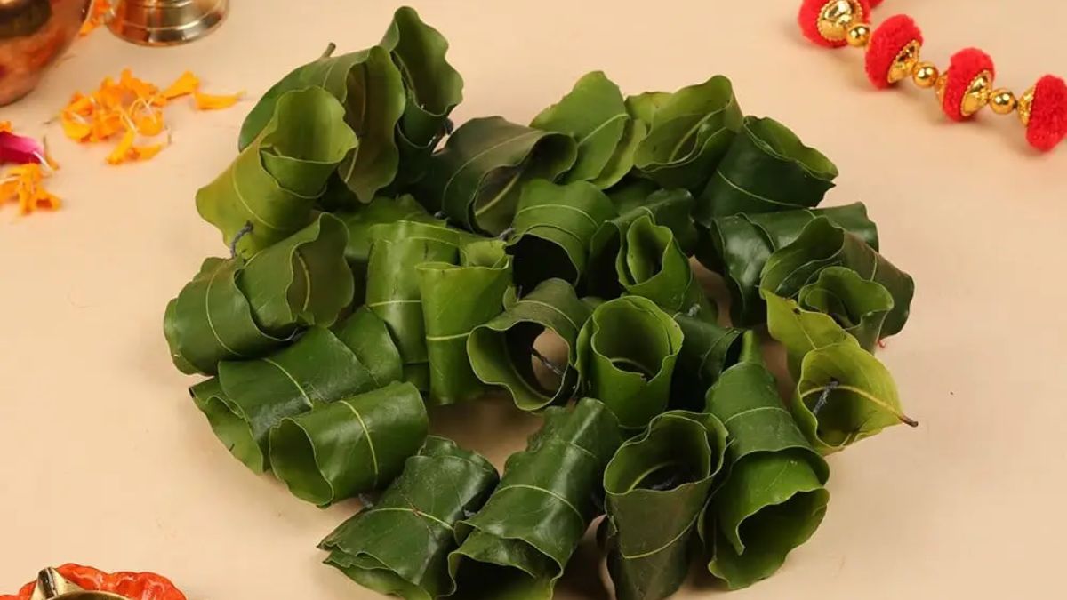 ghar mein ashok ke patte rakhne ki vidhi