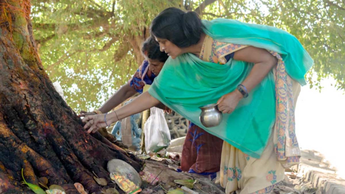 Peepal tree Puja on Tuesday