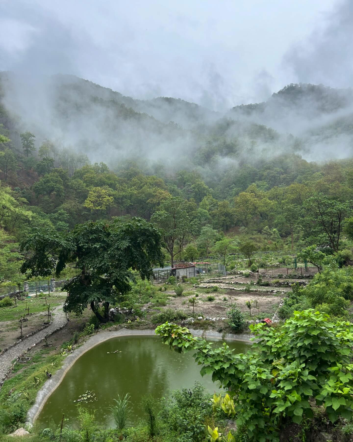 Marchula best places