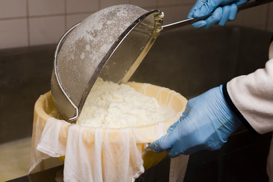 make paneer at home recipe