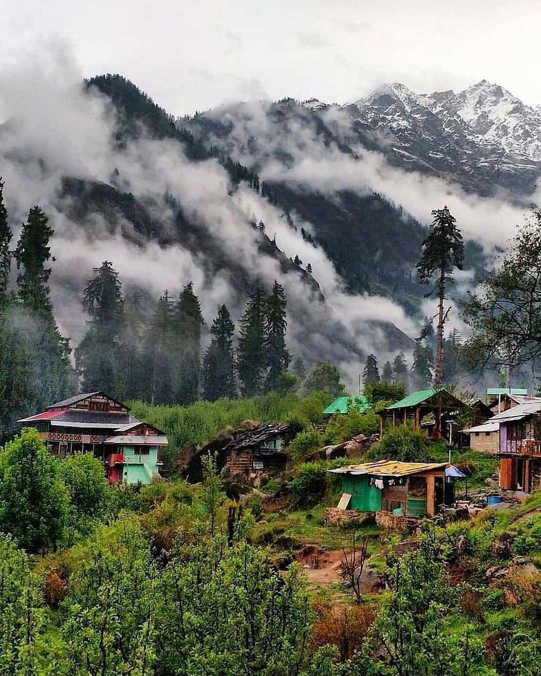 Where is kalga village in himachal