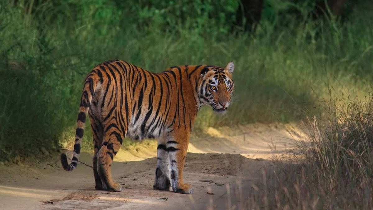 pachmarhi hill station places to visit