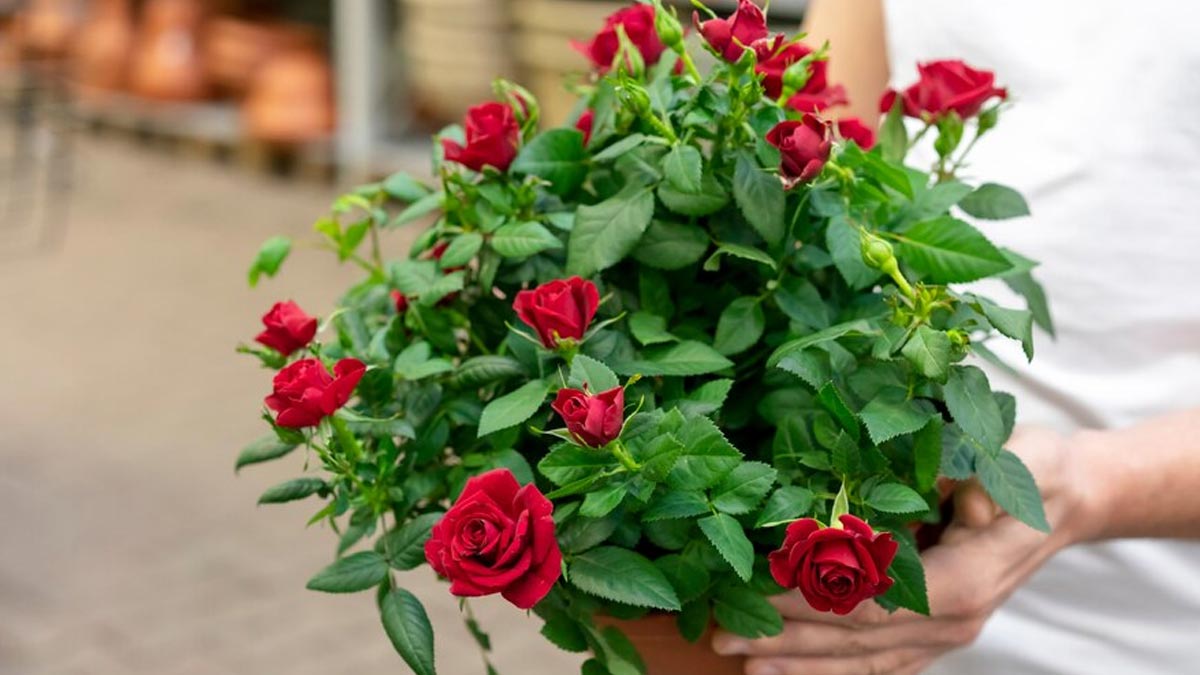 This mistake stops growth