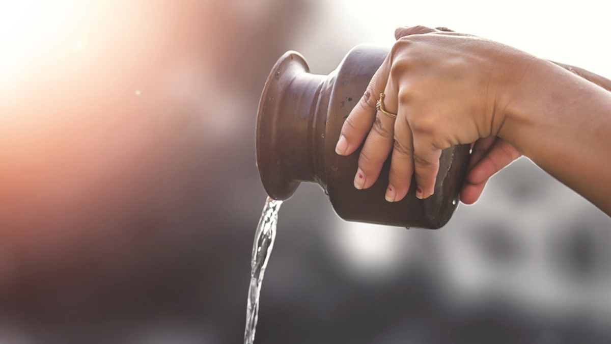 offering gangajal to tulsi plant