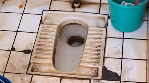 toilet seat cleaning